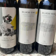Vini Tenute Bianchino