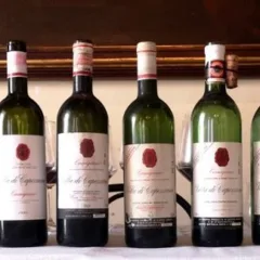 Capezzana - le 12 bottiglie