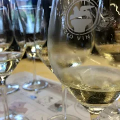 Consorzio Vini Venezia e la manifestazione Feel Venice