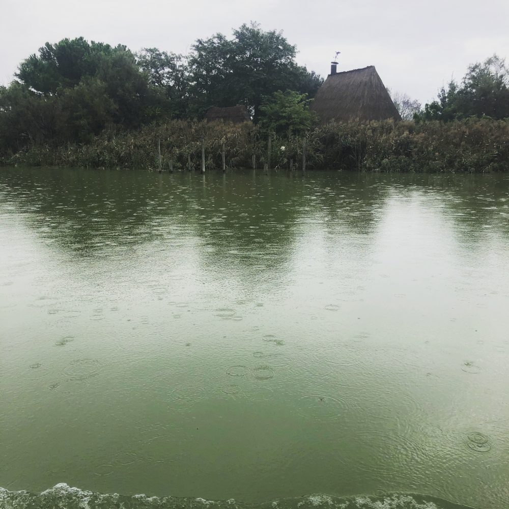 Un vecchio Cason della Laguna Veneta nascosto lungo la riva del Livenza