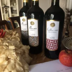Busa Puglia IGT Primitivo 2019, Valla 1936 Puglia IGT 2018 Nero di Troia