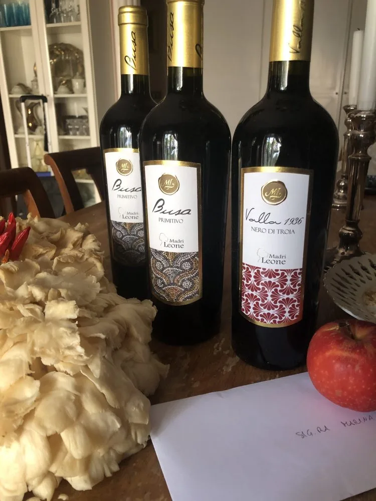 Busa Puglia IGT Primitivo 2019, Valla 1936 Puglia IGT 2018 Nero di Troia