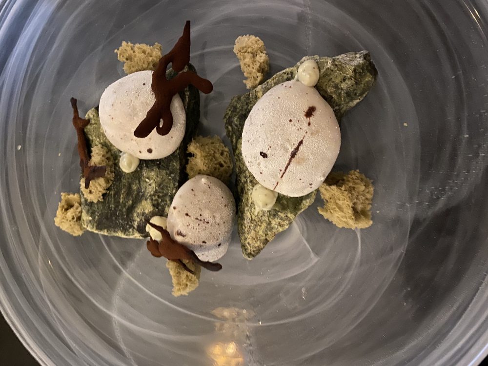 Bushi - Sweet stone, sassi al cocco e lime, crema e spugna al the matcha e coralli di cioccolato