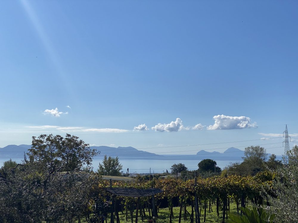 Cantina del Vesuvio