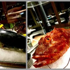 No.Ro., la materia prima