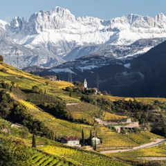 I vini altoatesini fanno tappa a Napoli il 6 ottobre