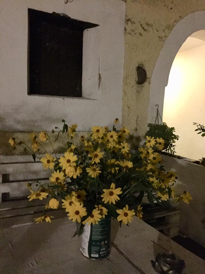 Il Nocciolo Selvatico, i fiori nella corte all'esterno