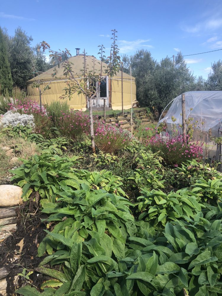 Terra di Ea azienda agricola multifunzionale a Tortoreto