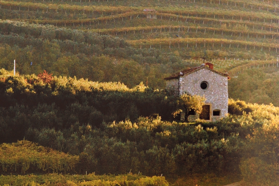 Soave Terroir - paesaggio