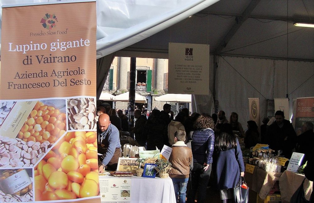 Masseria Del Sesto – il Lupino di Vairano a Leguminosa