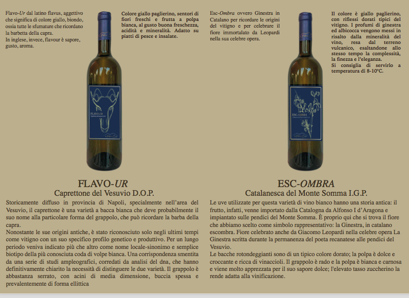 Cantina di Fontana Cupa