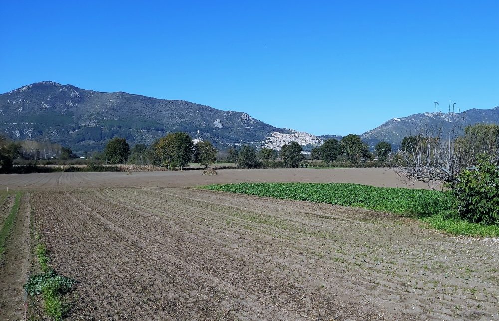 Masseria Del Sesto – il territorio di Pietravairano