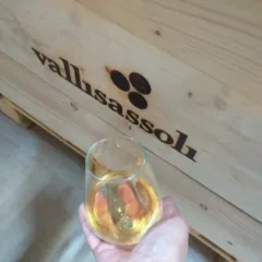 Vallisassoli - 33,33,33