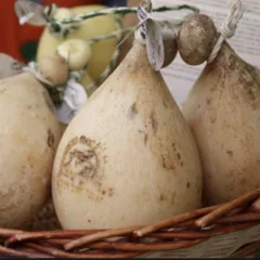Caciocavallo Podolico Basilicata