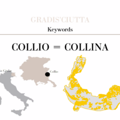 Il Collio
