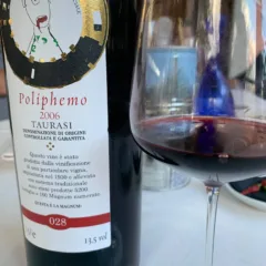 Poliphemo 2006 Luigi Tecce