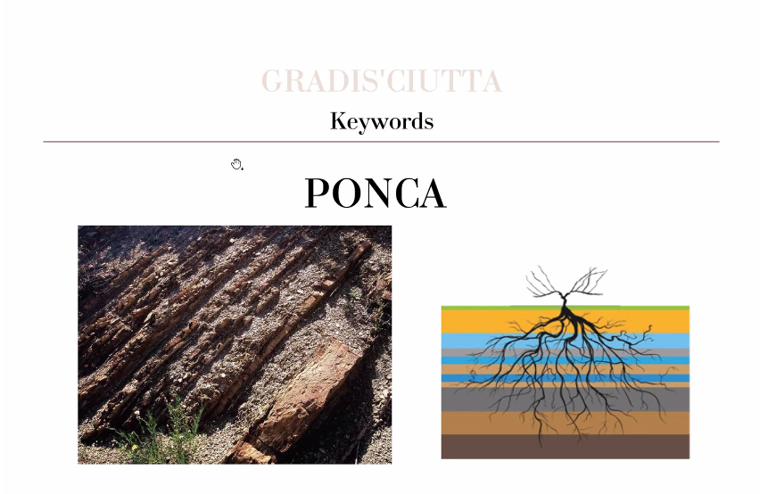 Ponca