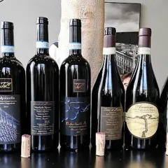 Terre di Leone ed i vini di Marano - Bottiglie