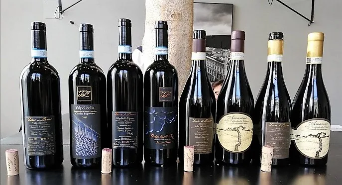 Terre di Leone ed i vini di Marano - Bottiglie