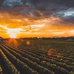 Il panorama dell'Amarone