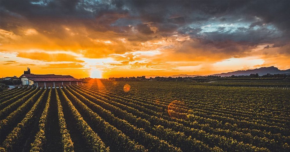 Il panorama dell'Amarone