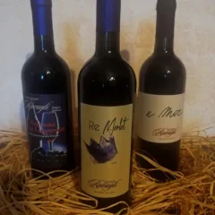 Az. Agr. Alessandra Ravagli - Rossi