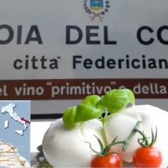 Mozzarella di Gioia del Colle citta