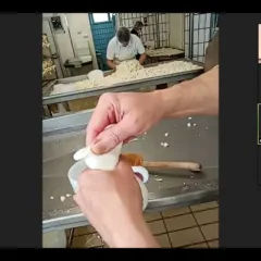 Visita in streaming al Caseificio Di Nucci - la lavorazione del formaggio