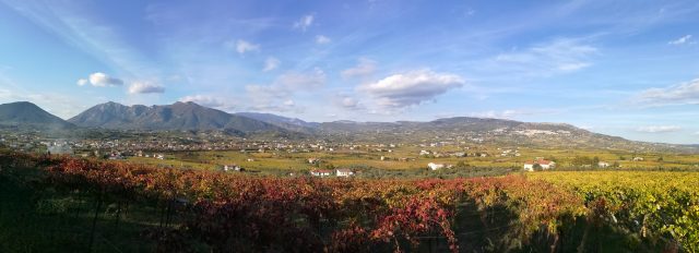 Castelvenere, il "Comune più vitato del Sud"