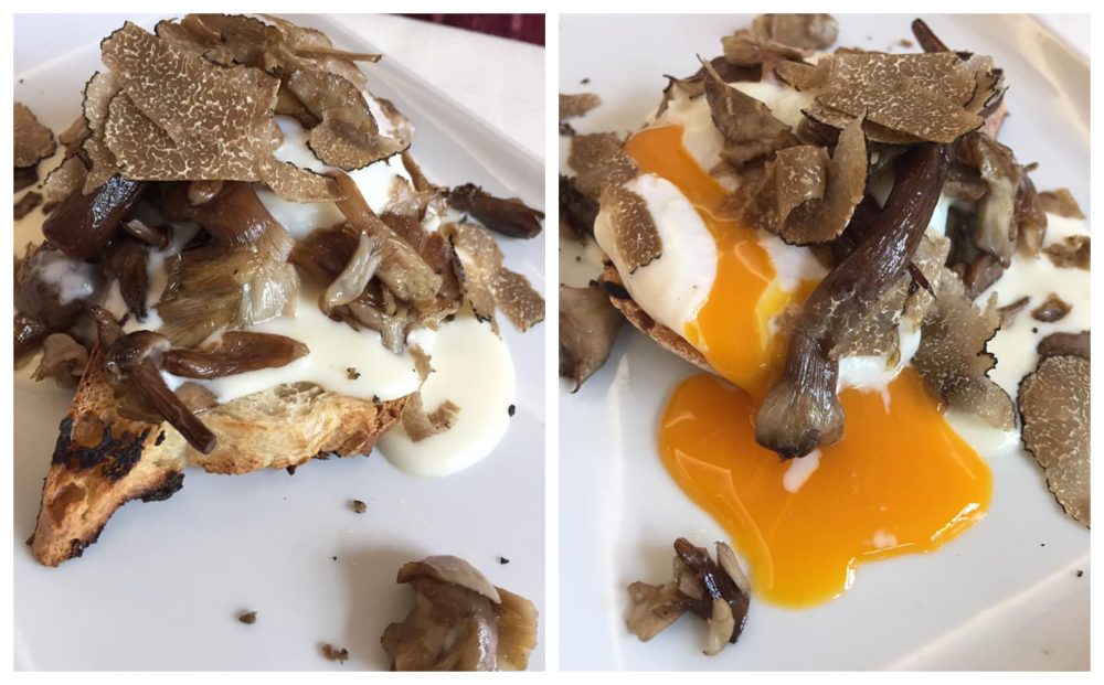 Gerani, l'uovo morbido con crema di parmigiano, funghi e tartufo