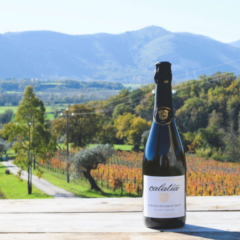 Asprinio Spumante Brut Calatia