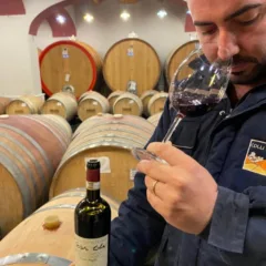 Sabino Colucci - Colli di Castelfranci