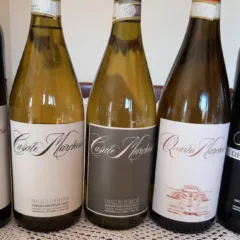 Vini Casale Marchese