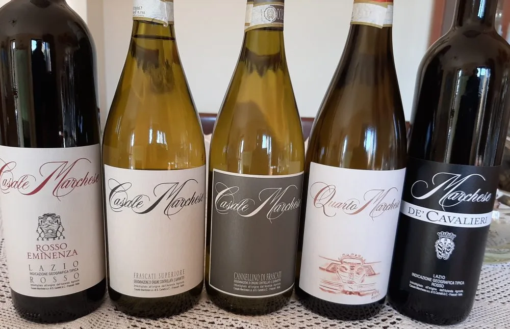 Vini Casale Marchese