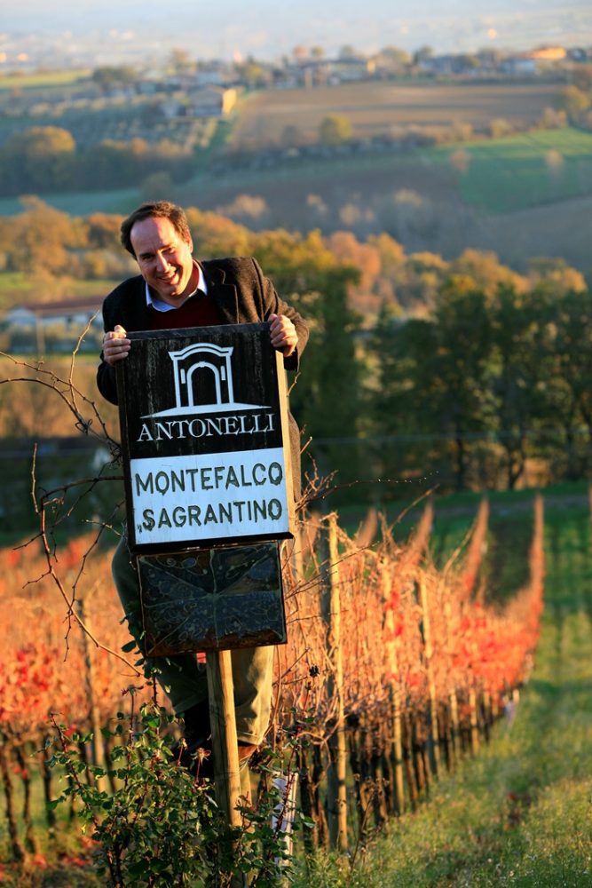 Il produttore di Sagrantino Filippo Antonelli proprietario della cantina Antonelli San Marco