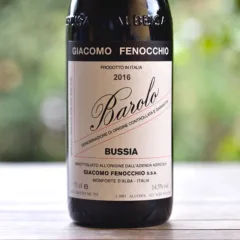 Barolo Bussia 2016 Giacomo Fenocchio
