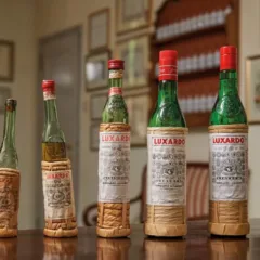 Bottiglie Maraschino