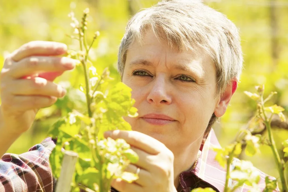 Manuela Piancastelli in vigna