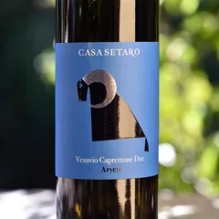 Vesuvio Caprettone Aryete 2019 Casa Setaro