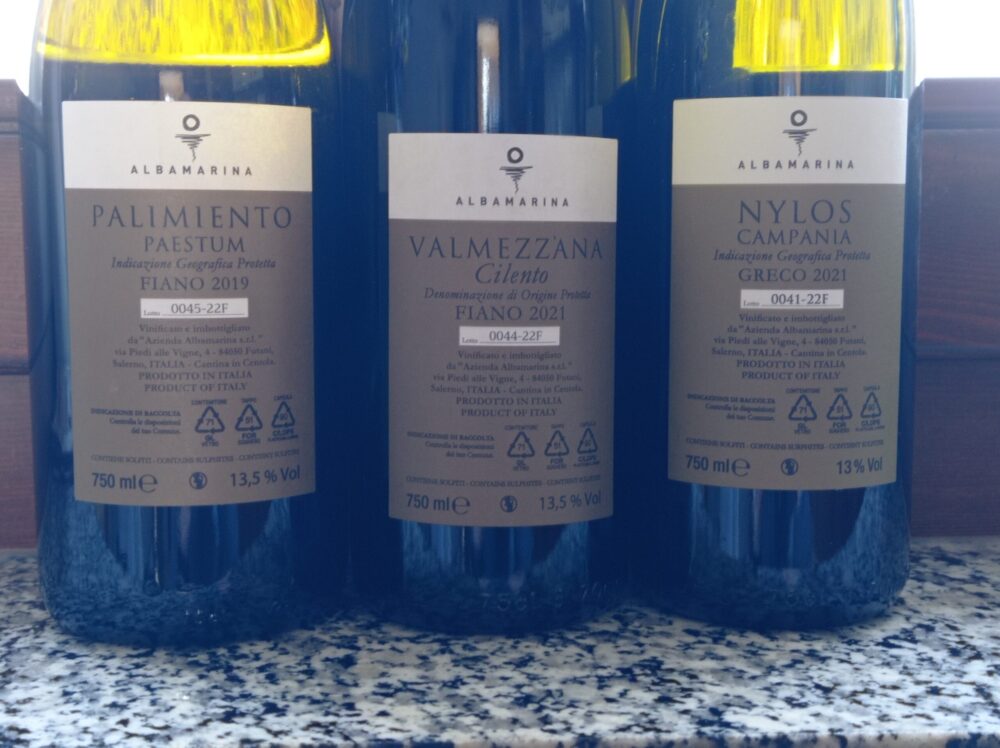 Controetichette vini bianchi Albamarina