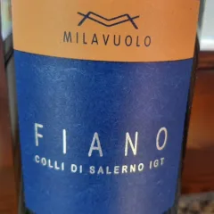 Fiano Colli di Salerno Igt 2015 Vuolo