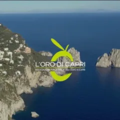 Logo dellOlio Oro di Capri