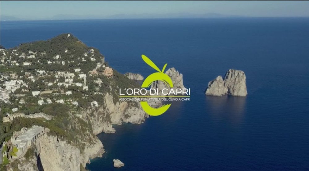 Logo dellOlio Oro di Capri