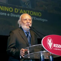 Nino D'Antonio