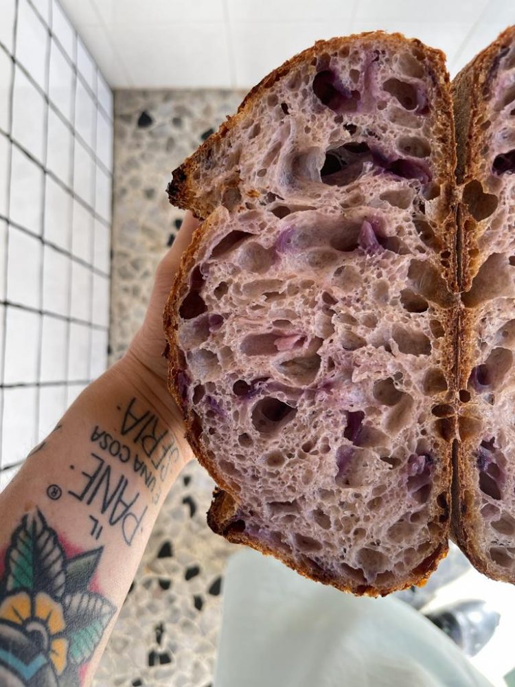 PezZ de Pane - il pane con il cavolo viola