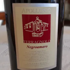 Terrragnolo Negroamaro Salento Rosso Igp 20'6 Apollonio