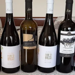 Vini Cantine Fiore
