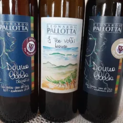 Vini Leonardo Pallotta