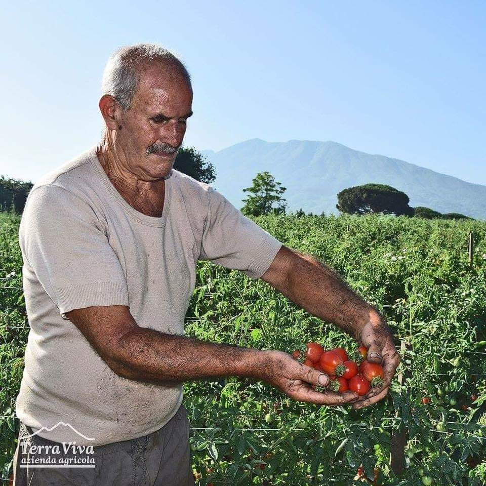 Terra Viva Azienda Agricola