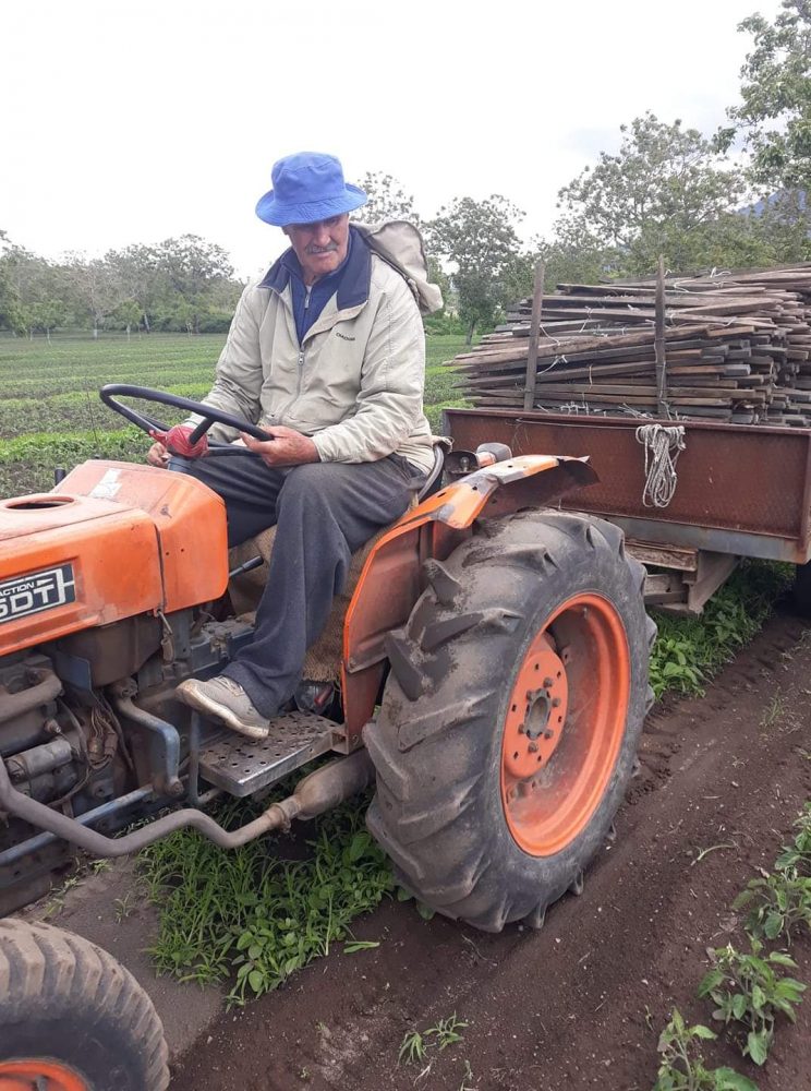 Antonio Manfellotto, Terra Viva Azienda Agricola